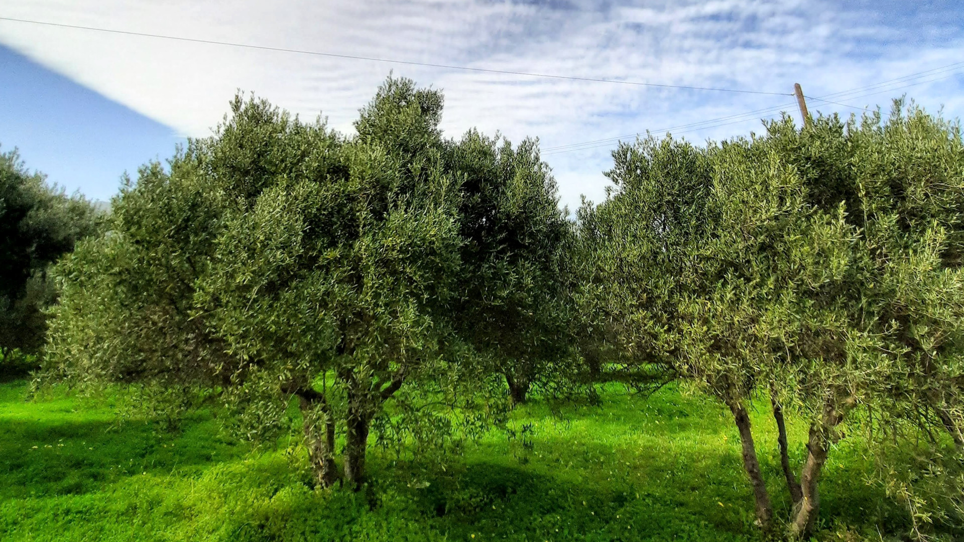 Sustainability Practices