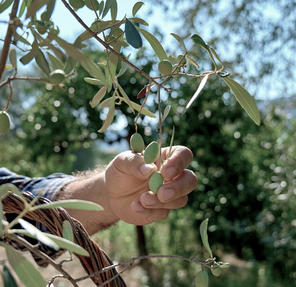 Sustainability practices